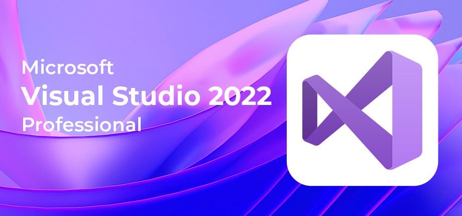 Microsoft Visual Studio Professional 2022